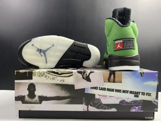 Oregon CK6631-307 SE Ducks 5 Air Jordan 0515
